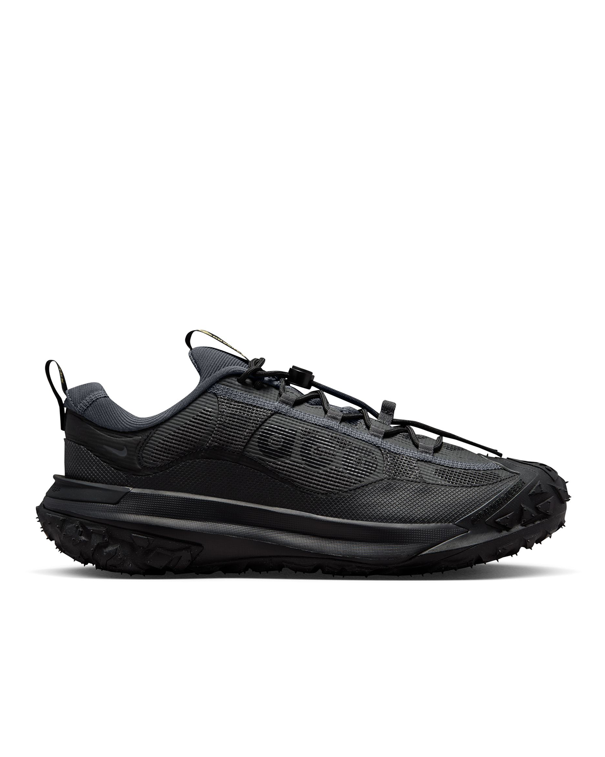 ACG Mountain Fly 2 Low GORE-TEX 'Dark Smoke Grey'