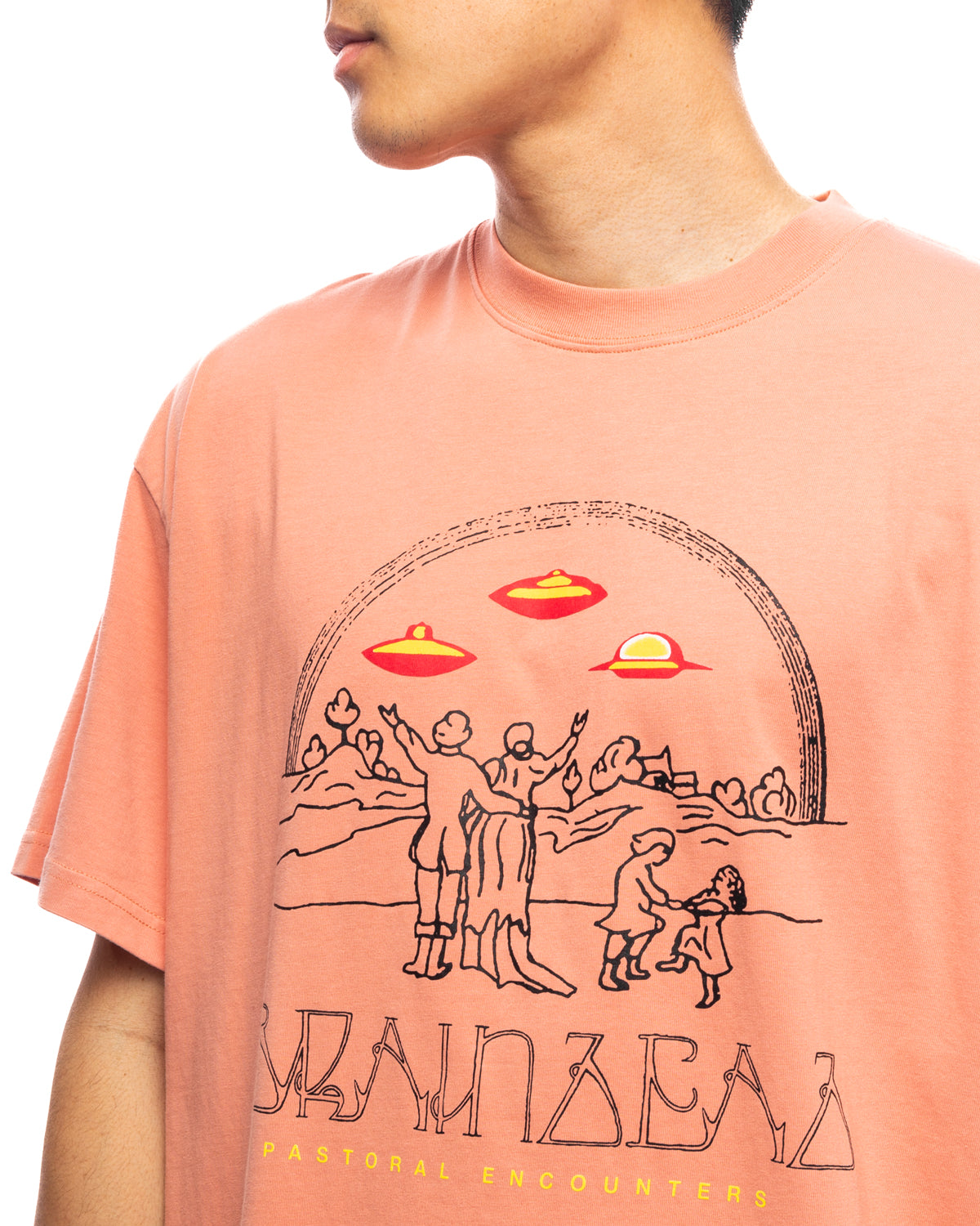 Pastoral Encounters T-shirt Dusty Rose