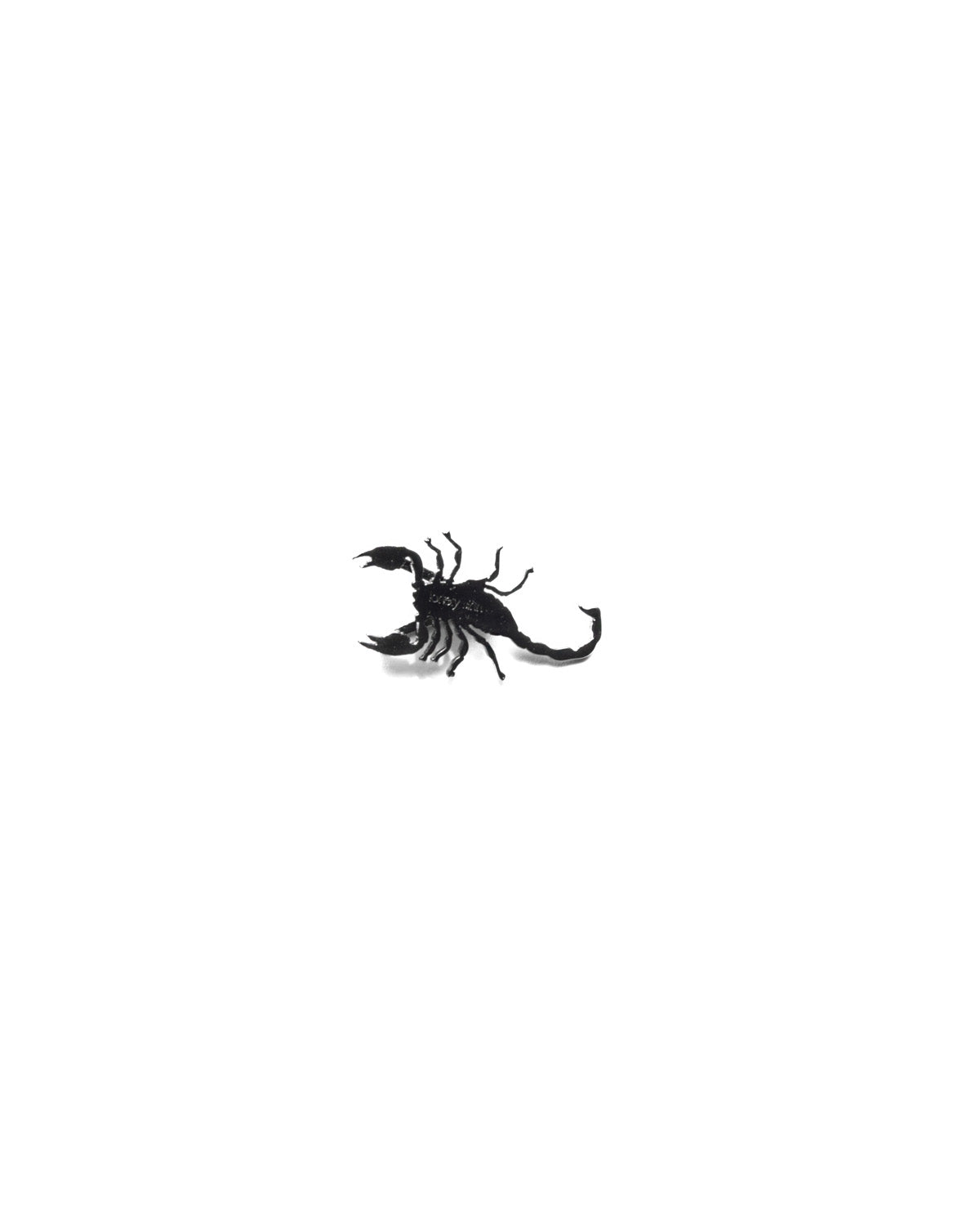 Scorpion Shoe Pendant Black